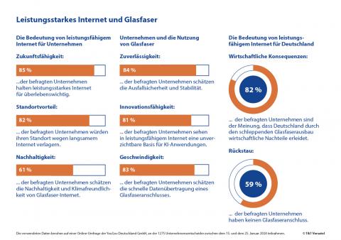 Infographic YouGov Studie Digitalisierung