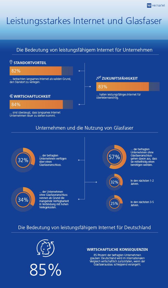Infografik Leistungsstarkes Internet und Glasfaser vertikal